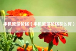 手机流量价格（手机流量价格怎么算）