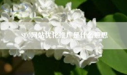 SEO网站优化推广是什么意思