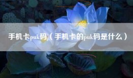 手机卡puk码（手机卡的puk码是什么）