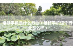 维修手机是什么专业（维修手机这个行业怎么样）