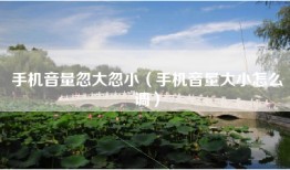 手机音量忽大忽小（手机音量大小怎么调）