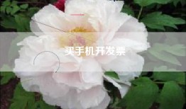 买手机开发票