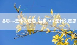 谷歌seo是什么意思_谷歌 SEO 是什么意思