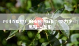 四川百度推广的资质全解析，助力企业(黑帽seo)营销