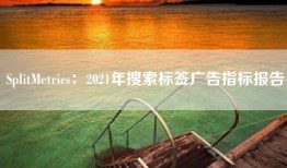 SplitMetrics：2021年搜索标签广告指标报告