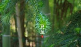 乌恰救援_汽车救援服务｜快速救援