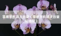 苹果手机调大音量（苹果手机调大音量后播放）