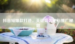 抖音短爆款打造，关键词优化与推广秘籍