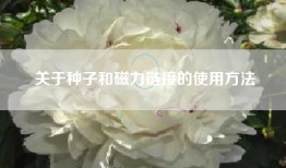 关于种子和磁力链接的使用方法