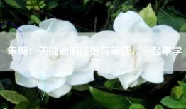 朱绚：关键词的挖掘与筛选，一起来学习
