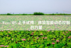Waves IDX 上手试用：体验智能动态控制的力量