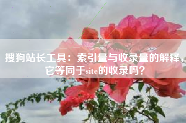 搜狗站长工具：索引量与收录量的解释，它等同于site的收录吗？