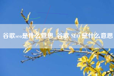 谷歌seo是什么意思_谷歌 SEO 是什么意思