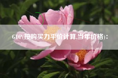 GDP(按购买力平价计算,当年价格): GDP(按购买力平价计算,当年价格):