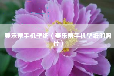 美乐蒂手机壁纸（美乐蒂手机壁纸的照片）