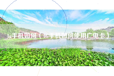 4g手机如何（4G手机如何使用广电卡）