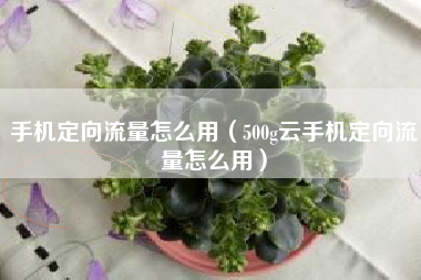 手机定向流量怎么用（500g云手机定向流量怎么用）