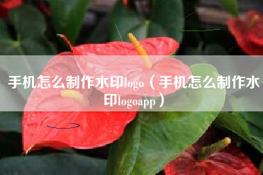 手机怎么制作水印logo（手机怎么制作水印logoapp）