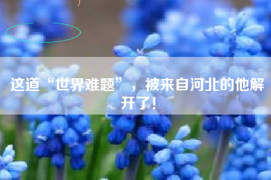 这道“世界难题”，被来自河北的他解开了！